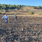 Semina a mano - Foto p.g.c. Azienda Todaro